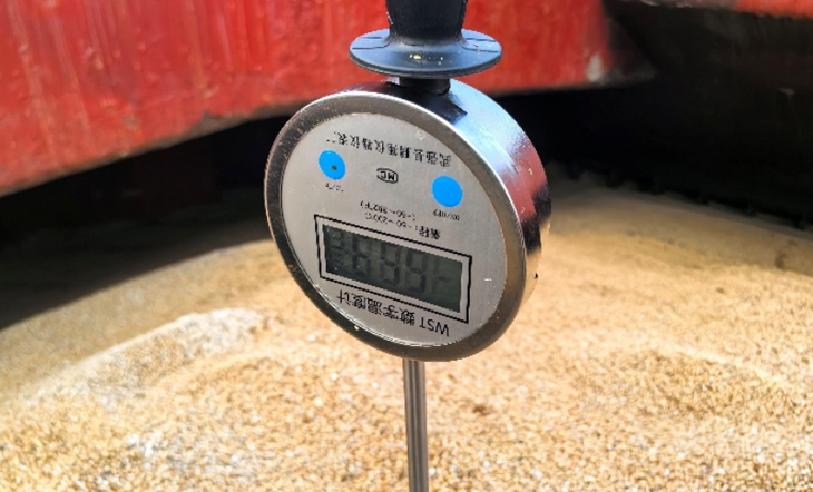 进口大豆热损评估