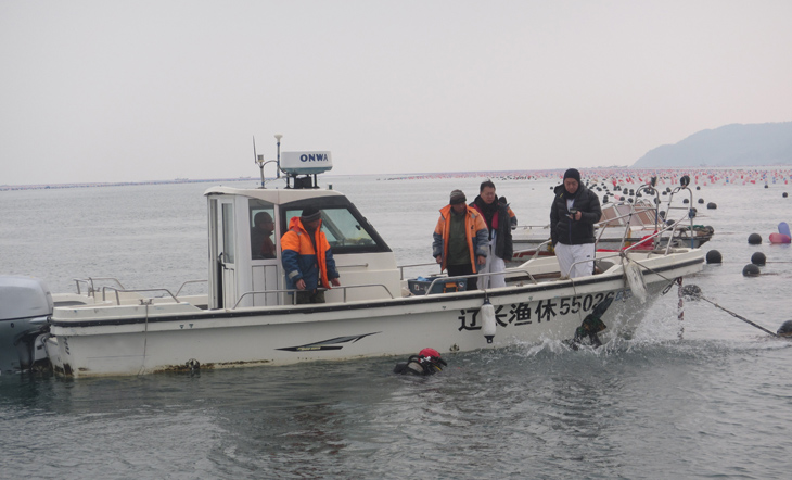 海域损失鉴定评估